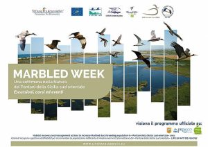 Marbled week 2022: una settimana nella Natura dei Pantani! @ Riserva naturale orientata Pantani della Sicilia Sud-Orientale